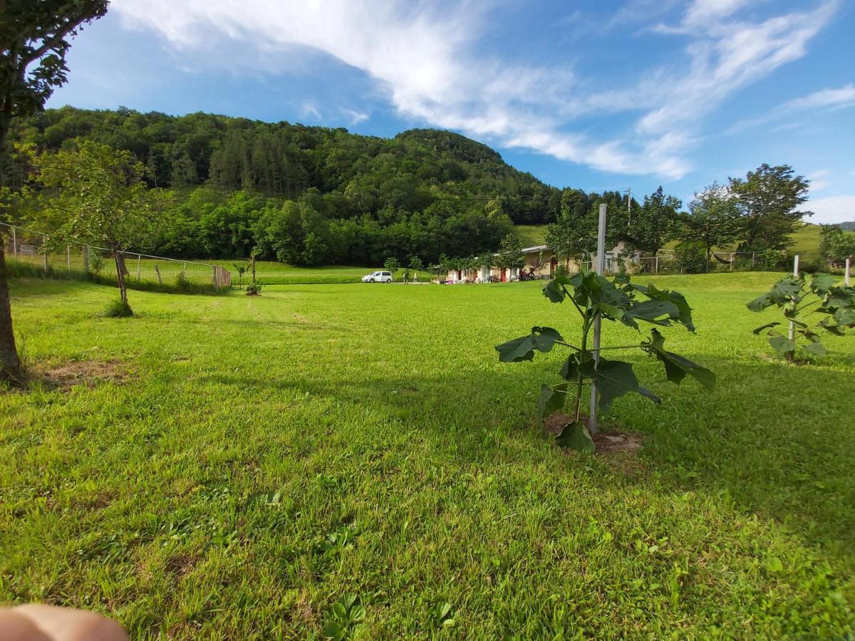 ホテル Glamping Hiske Petrin トールミン エクステリア 写真